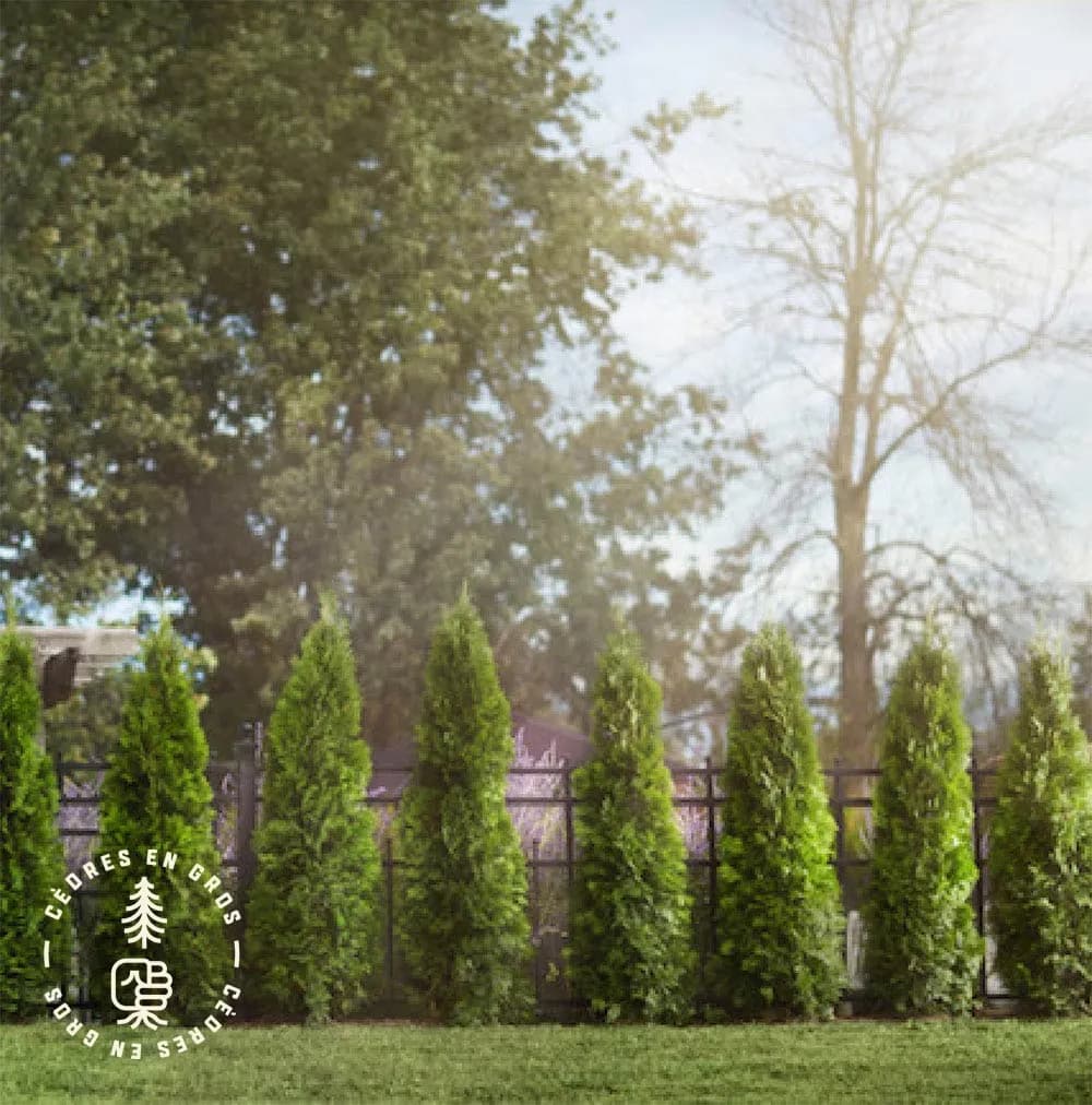 Services clés en main